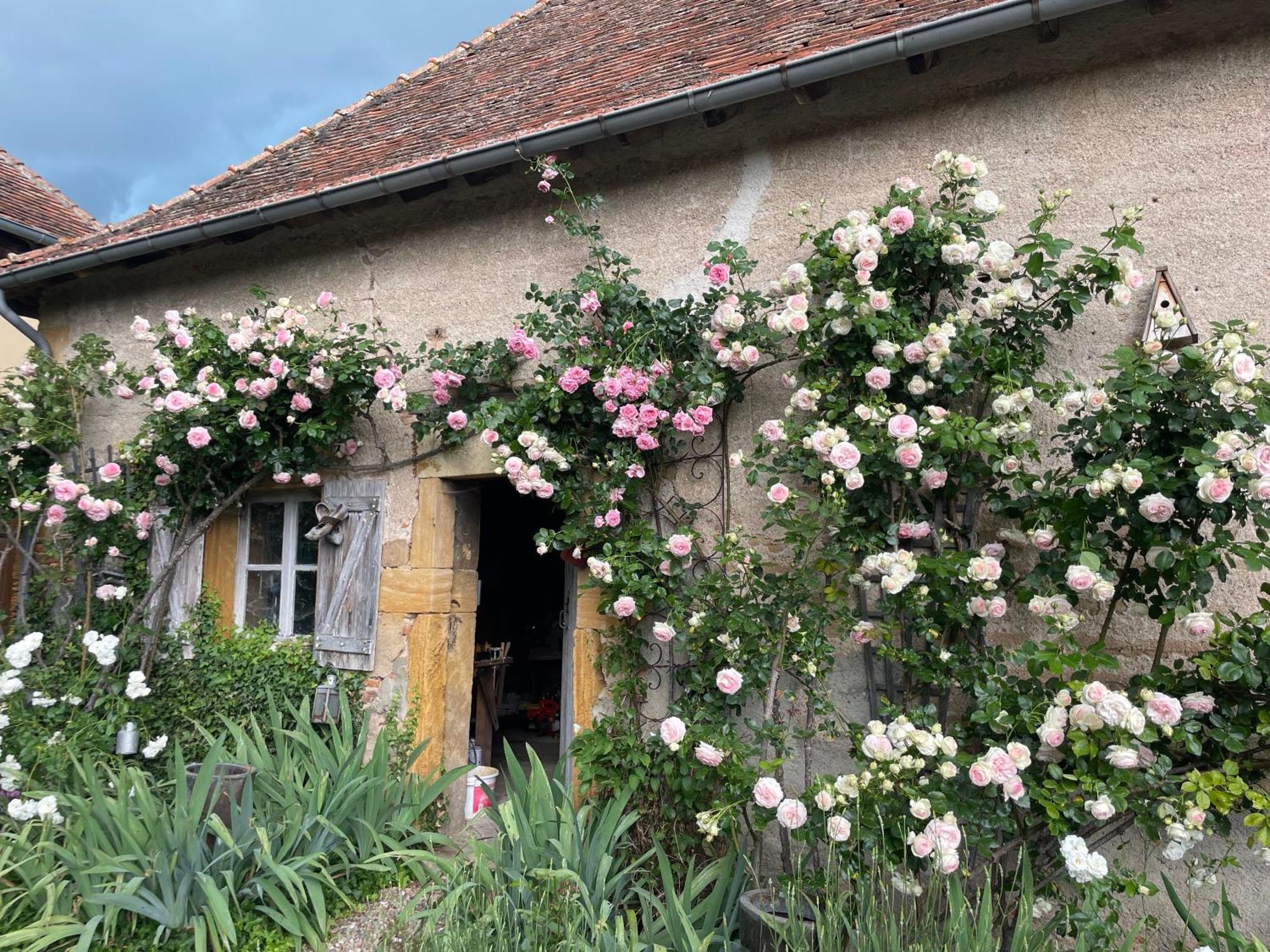 Bed and Breakfast Les Jardins Des Soussilanges Céron Exterior foto